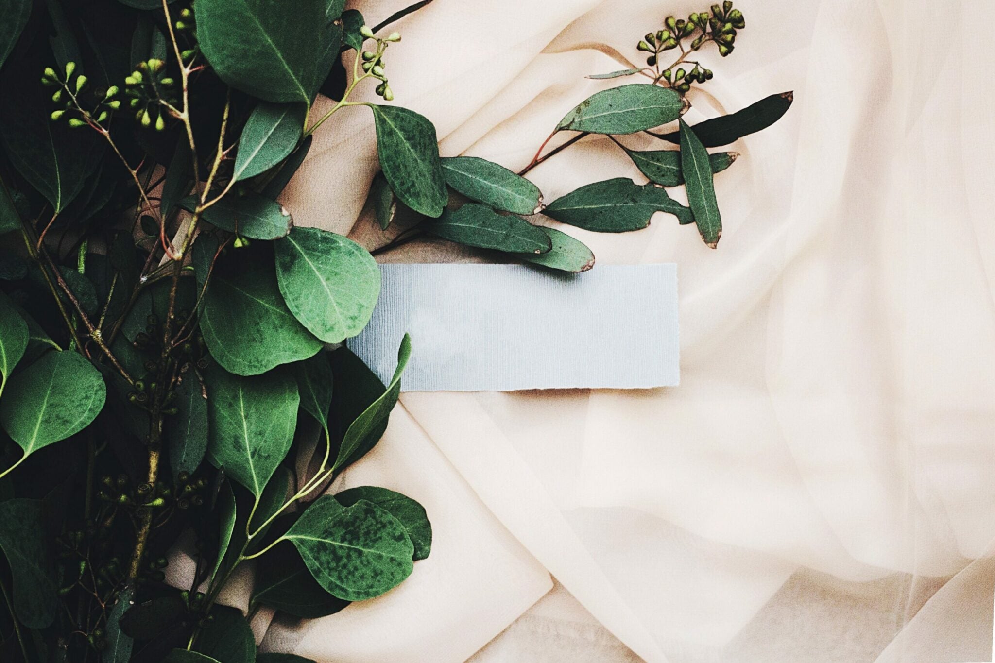 Benefits of Organic Cotton for You and the Environment