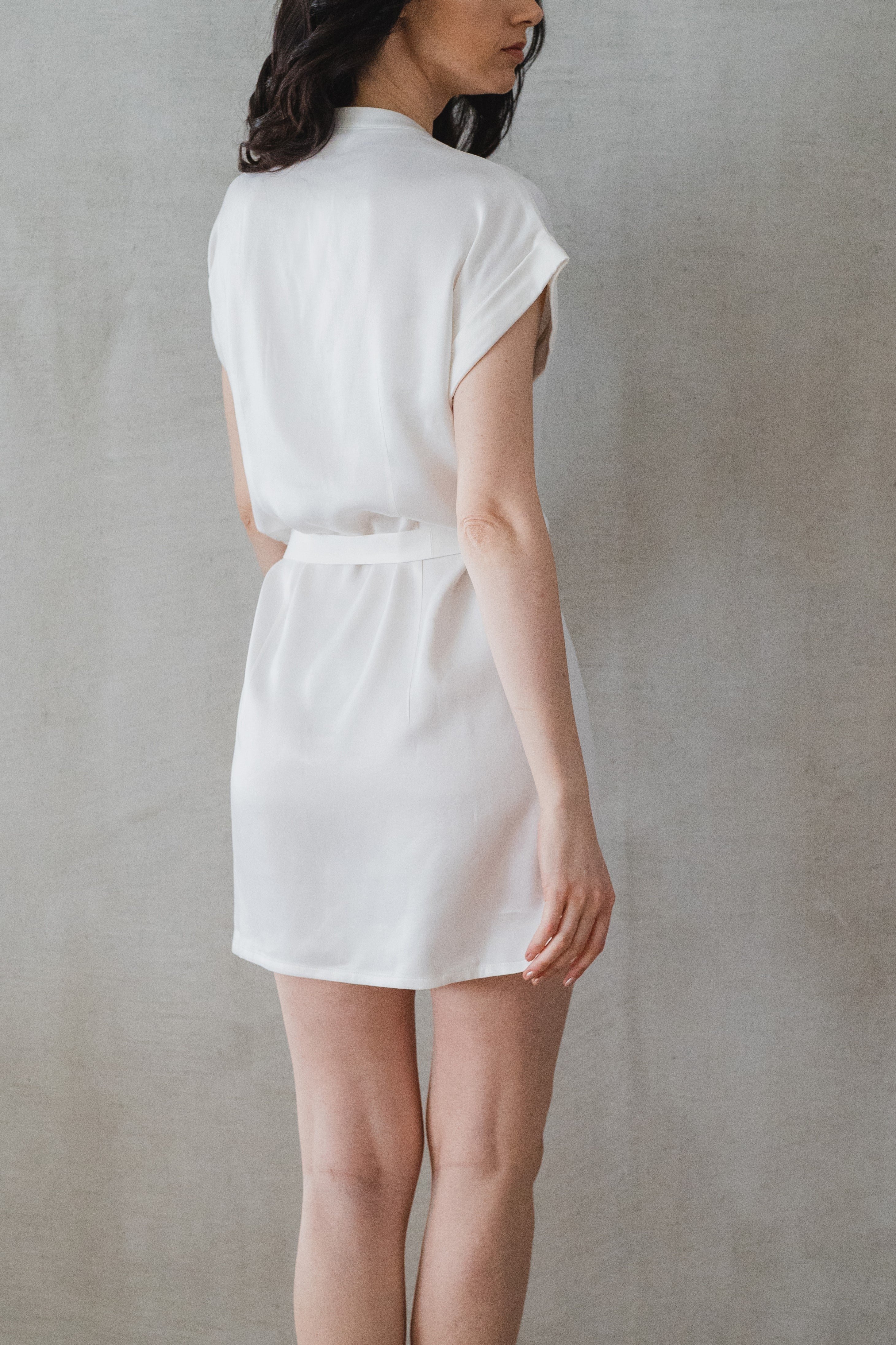 Alina Mini Shirt Dress